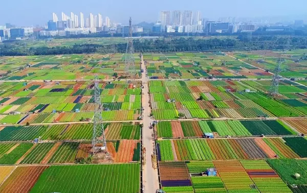 北京市占地面积大约是16800平方千米对吗(5)