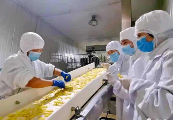 天津海皇食品厂面积有多大(2)