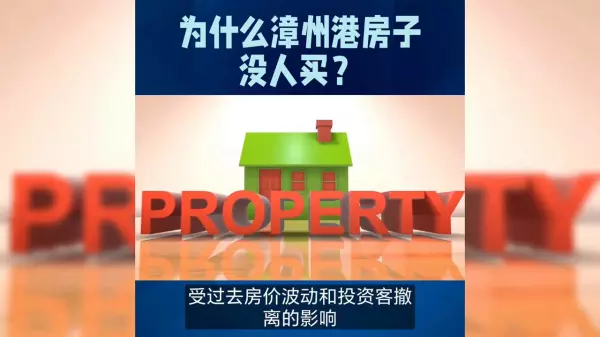 漳州港房价为什么下跌那么多(2)