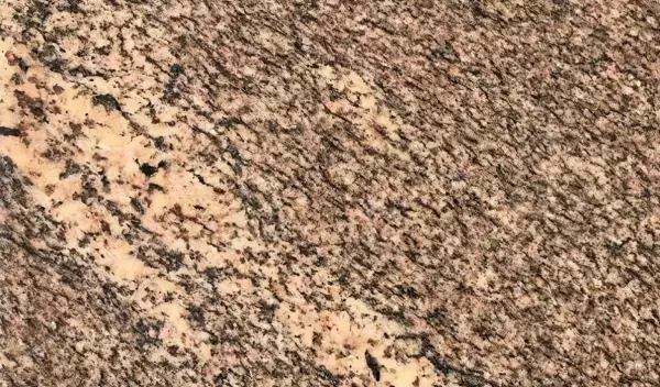 加州金麻与黄金麻的区别(2)