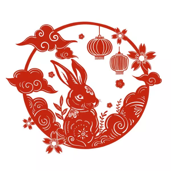 装饰色彩是几年级(6)