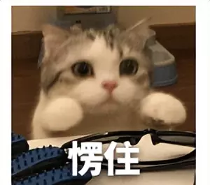 复合大理石的毒性有多强(5)