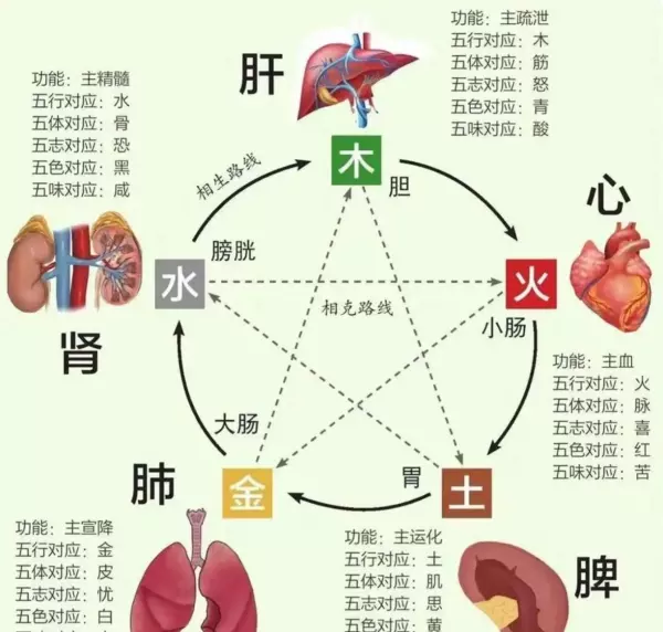 厨房五行属什么?木,火,水,金(3)