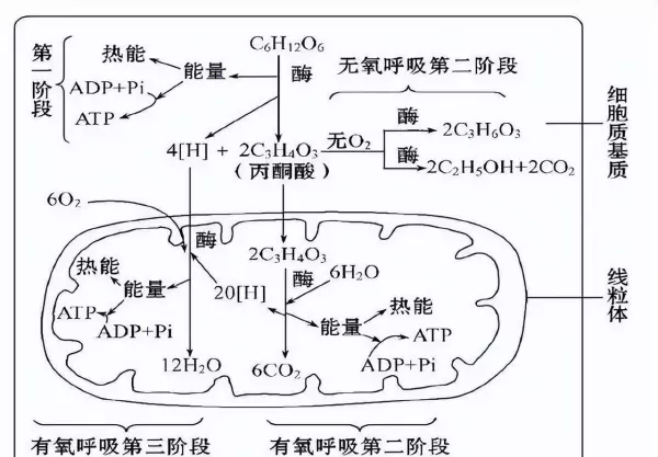 一个标准大气压在1平方米上产生的压力是多少吨(4)