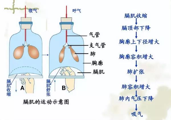 一个标准大气压在1平方米上产生的压力是多少吨(9)