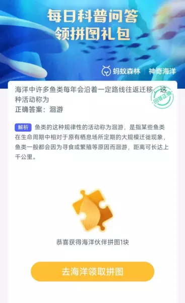 哪个位置扎帐篷最好蚂蚁庄园(6)