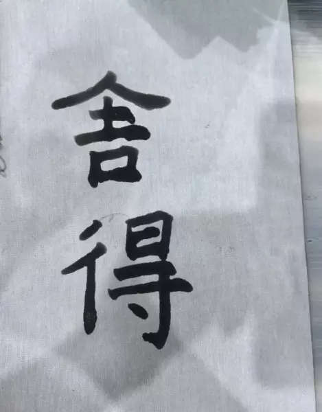 哪个位置扎帐篷最好蚂蚁庄园(8)