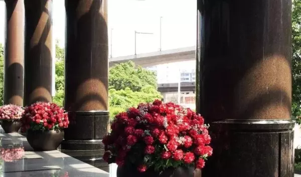 皇室啡是大理石还是花岗岩(40)