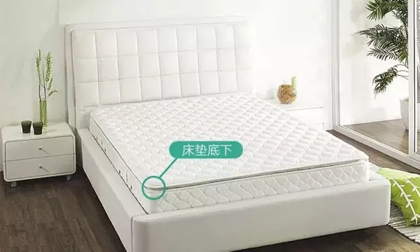 坐沙发身上痒怎么处理(17)