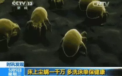 坐沙发身上痒怎么处理(2)
