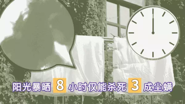 坐沙发身上痒怎么处理(5)