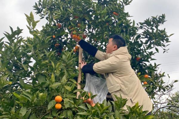 新居乔迁灯笼上写什么好.