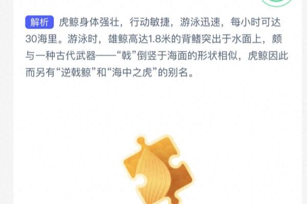逆剑鲸是什么鲸鱼的别称.