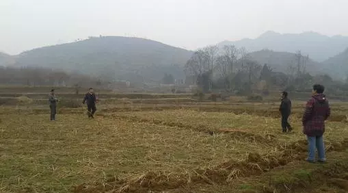 一坪等于多少平方米换算(2)