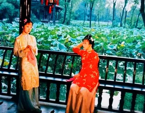 金麒麟花的寓意和象征意义是什么(2)