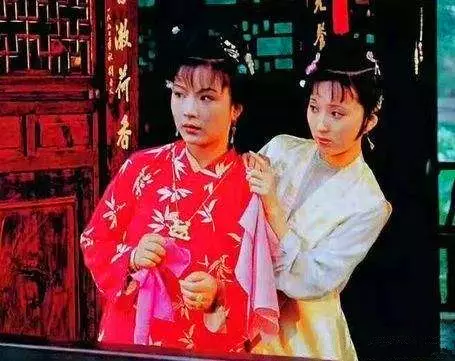 金麒麟花的寓意和象征意义是什么(3)