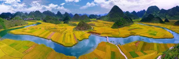 532331开头的身份证是哪里的(8)