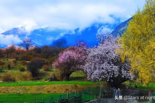 532331开头的身份证是哪里的.