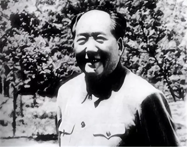 大三通最早在1979年什么提出(7)