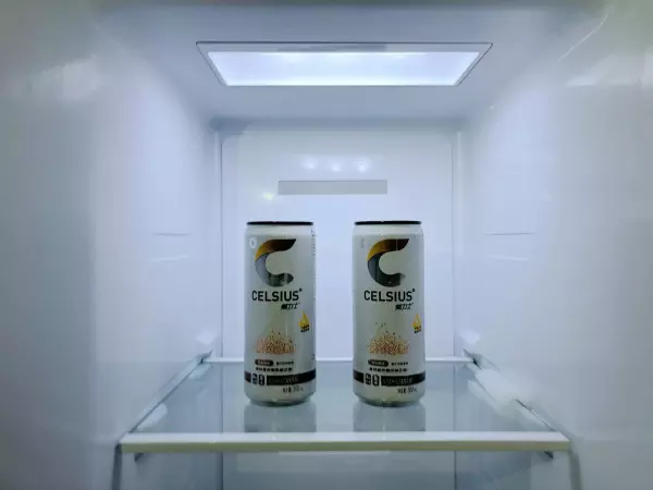 新飞飞鸿bcd186什么时候开始生产(14)