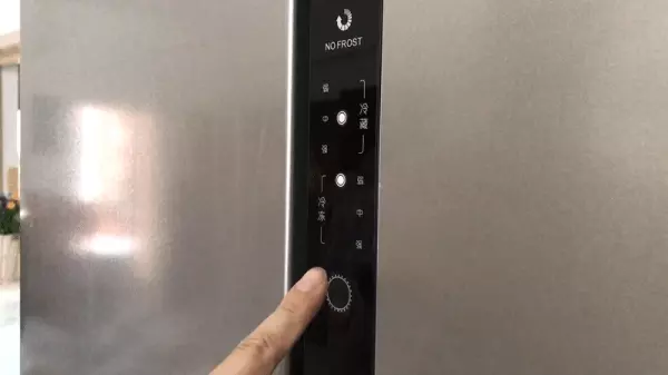 新飞飞鸿bcd186什么时候开始生产(24)