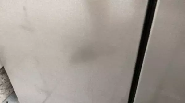 新飞飞鸿bcd186什么时候开始生产(26)