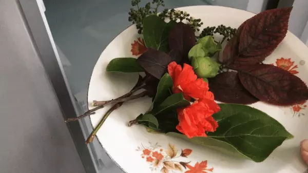 新飞飞鸿bcd186什么时候开始生产(27)