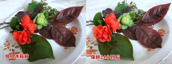 新飞飞鸿bcd186什么时候开始生产(28)