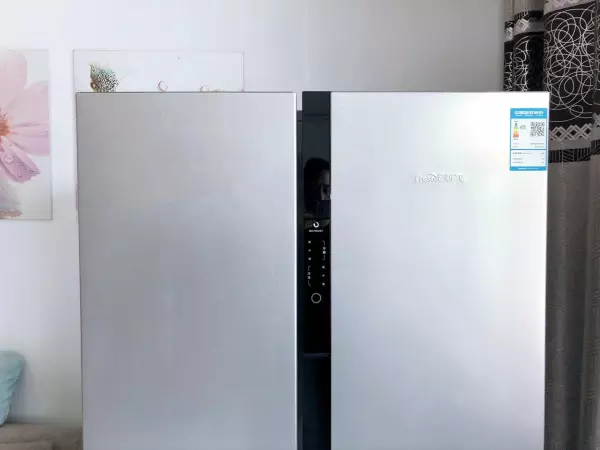 新飞飞鸿bcd186什么时候开始生产(2)