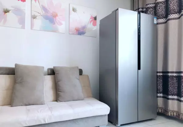 新飞飞鸿bcd186什么时候开始生产(35)