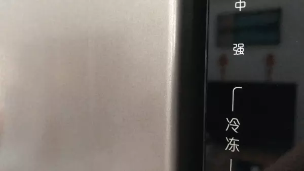 新飞飞鸿bcd186什么时候开始生产(6)