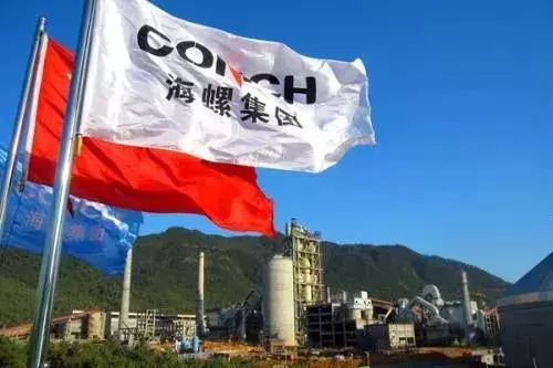 芜湖海螺集团是世界500强吗(1)