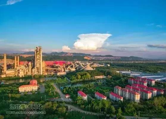 芜湖海螺集团是世界500强吗(3)