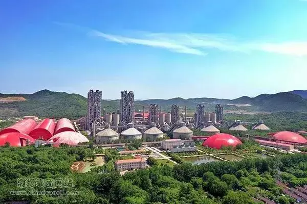 芜湖海螺集团是世界500强吗(5)
