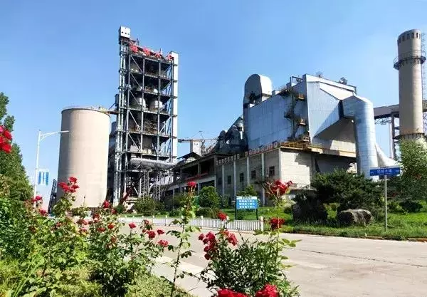 芜湖海螺集团是世界500强吗(8)