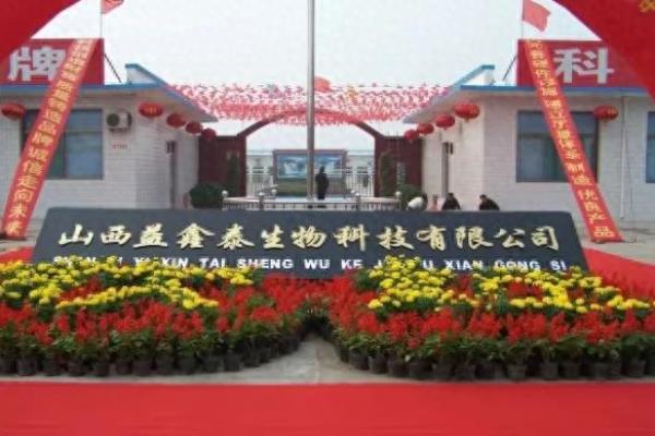 益鑫泰麻衬衫倒闭了吗.