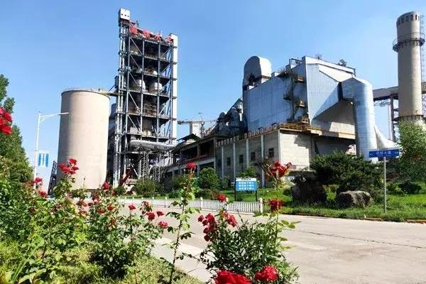 芜湖海螺集团是世界500强吗.