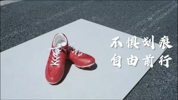 路易摩登瓷砖是杂牌子吗(4)