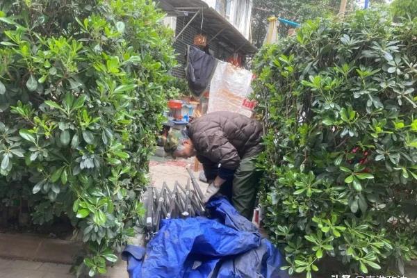爱国里小区属于哪个街道.