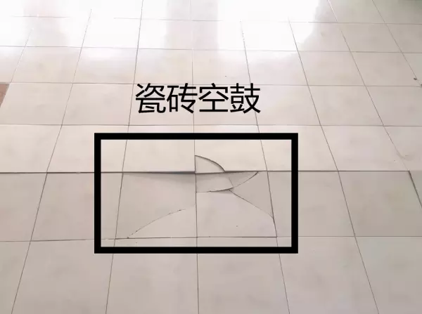 磁砖胶与水泥哪个更牢固(4)