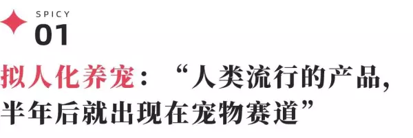勒仕小哈猪什么品牌(3)