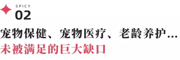 勒仕小哈猪什么品牌(5)