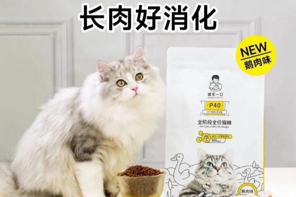 勒仕小哈猪什么品牌.