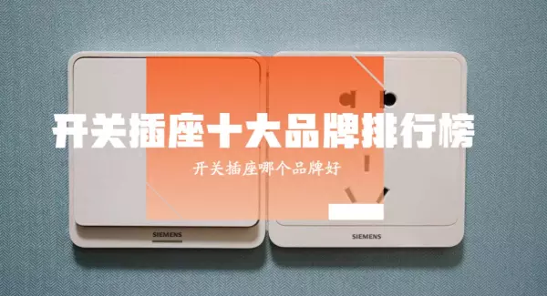 龙胜开关和公牛开关哪个好(1)