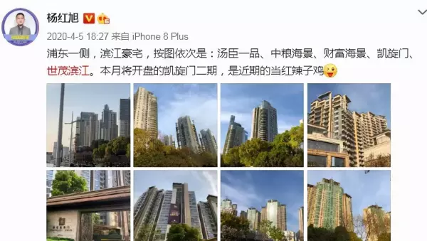 世茂滨江花园地址在哪里(10)