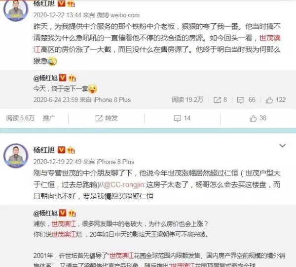 世茂滨江花园地址在哪里(15)