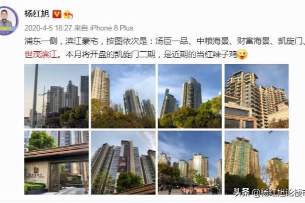 世茂滨江花园地址在哪里.