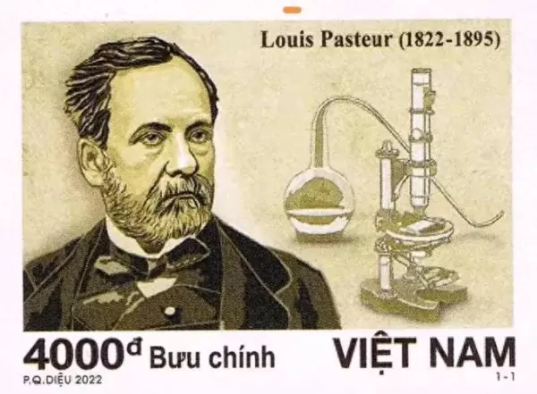 微生物的两个奠基人法国的和德国的成就分别是鹅颈瓶实验和发现炭疽病病原菌(1)