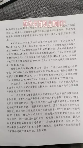 华日家具原老总是谁哪里人(5)