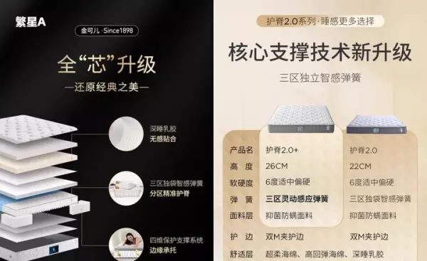 斯林百兰床垫属于什么档次(8)